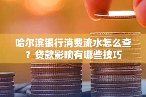 哈尔滨银行消费流水怎么查?贷款影响有哪些技巧